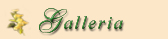 Galleria